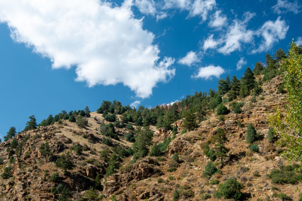 Scenic view of rocky hills and pine trees against a vibrant blue sky in Colorado.